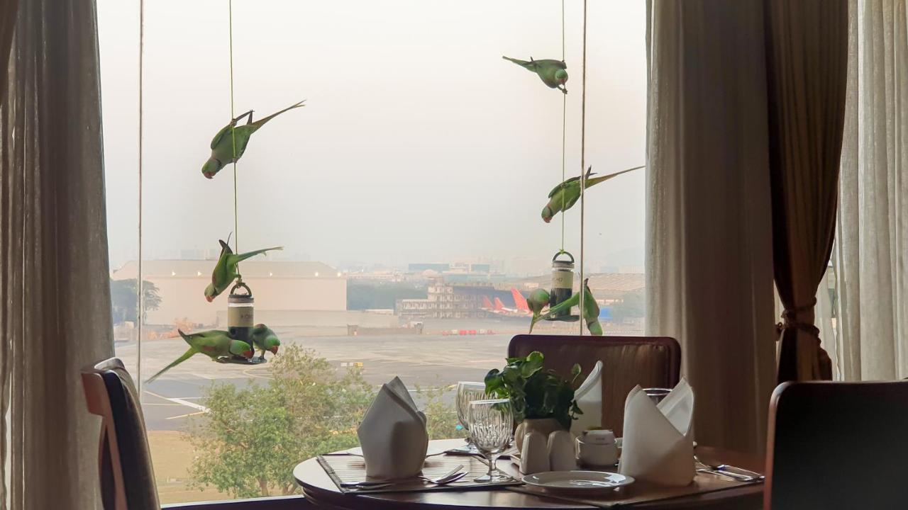 The Orchid Hotel Mumbai Vile Parle Luaran gambar Parrots at the airport